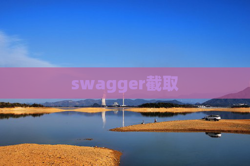 swagger截取